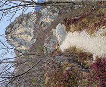 20260329_124115 - Gigliola Ioppi